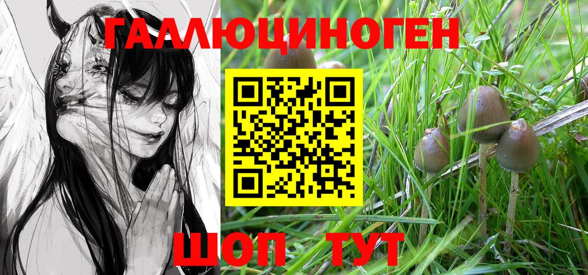 Галлюциногенные грибы Psilocybe Самара